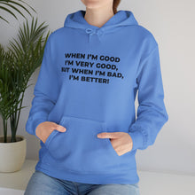 When I'm Good, I'm Very Good, Hoodie
