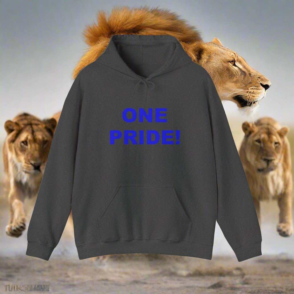 One Pride Detroit Hoodie – Michigan Football Fan Sweatshirt Gift - WJMAPPAREL.COM