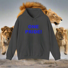 One Pride Hooded Sweatshirt