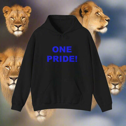 One Pride Detroit Hoodie – Michigan Football Fan Sweatshirt Gift - WJMAPPAREL.COM
