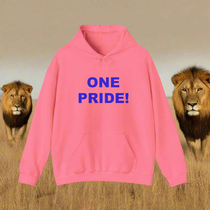 One Pride Detroit Hoodie – Michigan Football Fan Sweatshirt Gift - WJMAPPAREL.COM