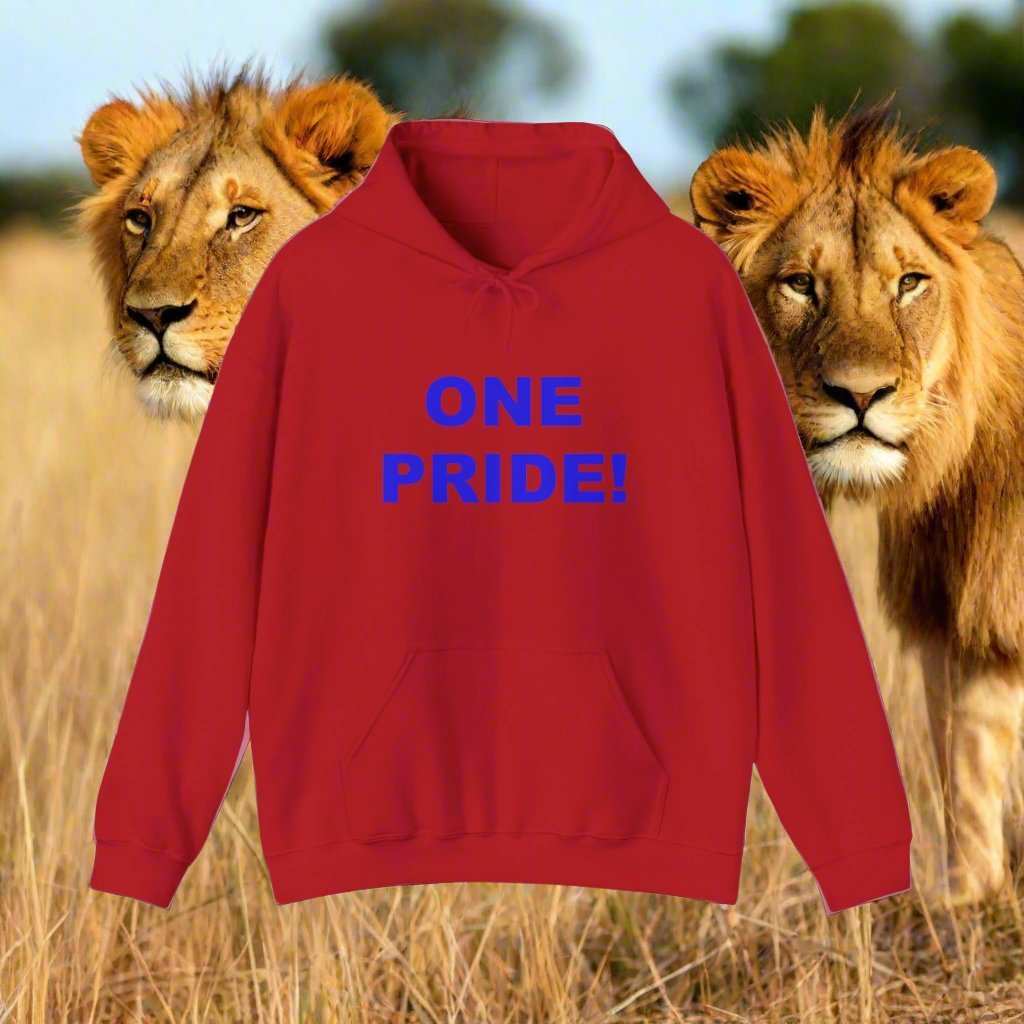 One Pride Detroit Hoodie – Michigan Football Fan Sweatshirt Gift - WJMAPPAREL.COM