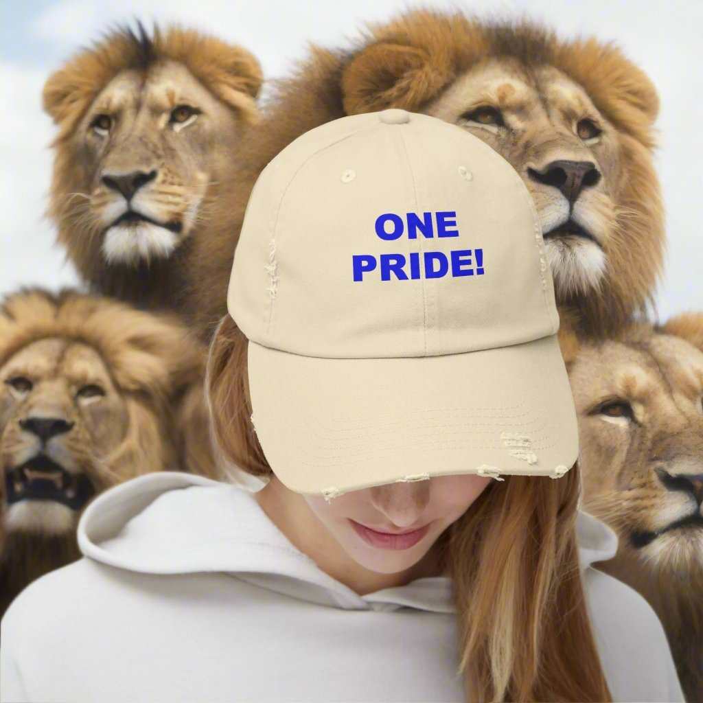 One Pride Detroit Dad Hat – Michigan Football Fan Cap Gift - WJMAPPAREL.COM