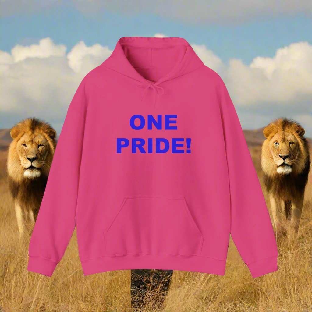 One Pride Detroit Hoodie – Michigan Football Fan Sweatshirt Gift - WJMAPPAREL.COM