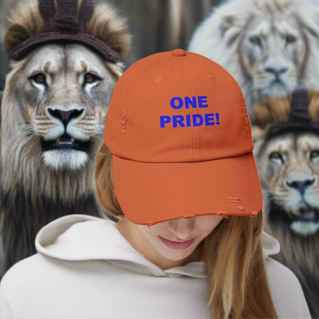 One Pride Detroit Dad Hat – Michigan Football Fan Cap Gift - WJMAPPAREL.COM