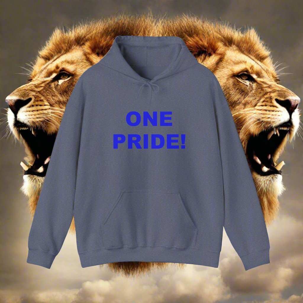 One Pride Detroit Hoodie – Michigan Football Fan Sweatshirt Gift - WJMAPPAREL.COM
