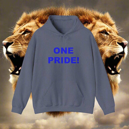 One Pride Detroit Hoodie – Michigan Football Fan Sweatshirt Gift - WJMAPPAREL.COM