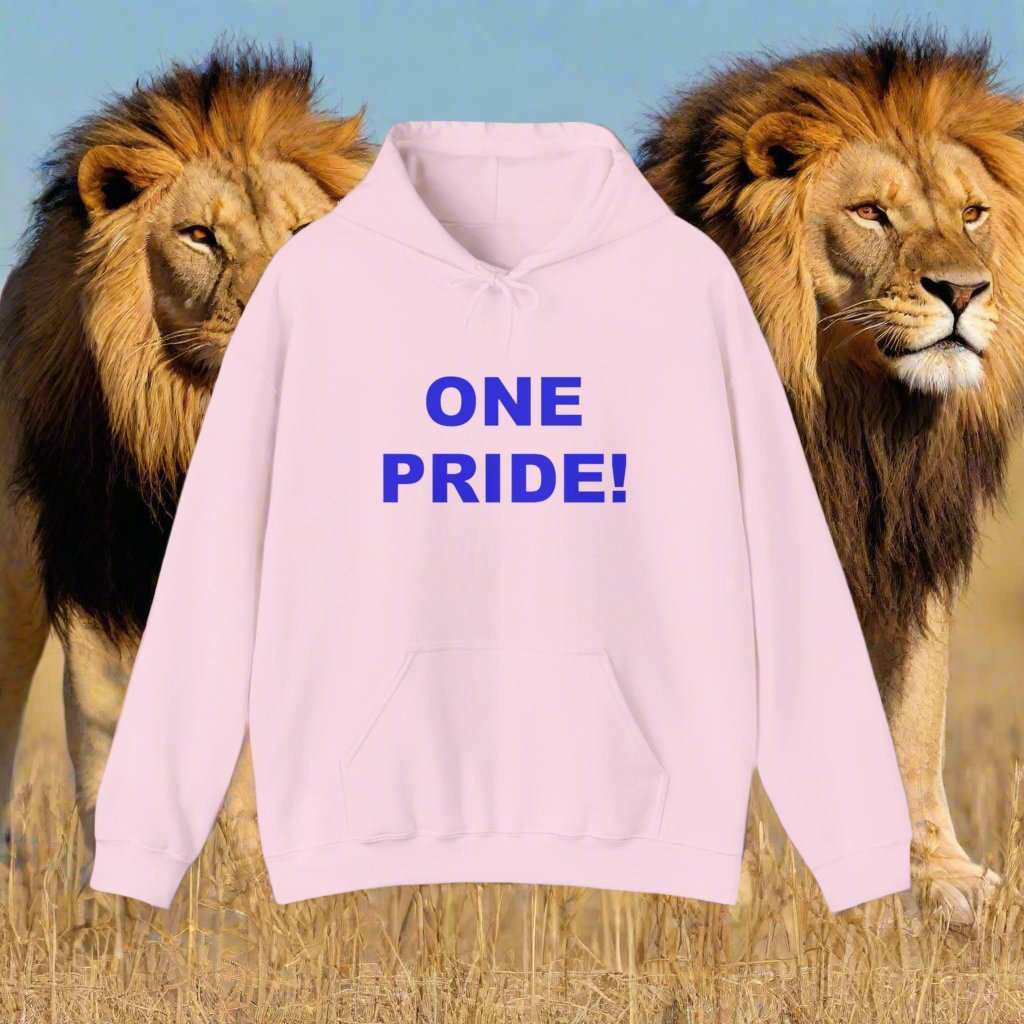 One Pride Detroit Hoodie – Michigan Football Fan Sweatshirt Gift - WJMAPPAREL.COM