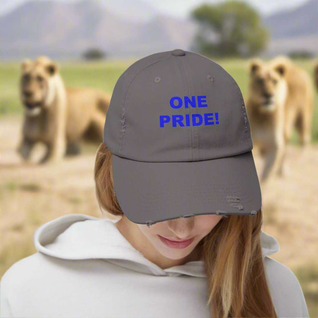 One Pride Detroit Dad Hat – Michigan Football Fan Cap Gift - WJMAPPAREL.COM