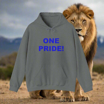 One Pride Detroit Hoodie – Michigan Football Fan Sweatshirt Gift - WJMAPPAREL.COM