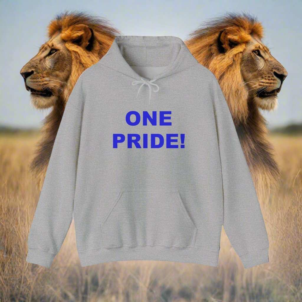One Pride Detroit Hoodie – Michigan Football Fan Sweatshirt Gift - WJMAPPAREL.COM