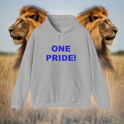 One Pride Detroit Hoodie – Michigan Football Fan Sweatshirt Gift - WJMAPPAREL.COM