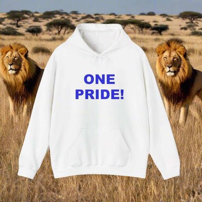 One Pride Detroit Hoodie – Michigan Football Fan Sweatshirt Gift - WJMAPPAREL.COM