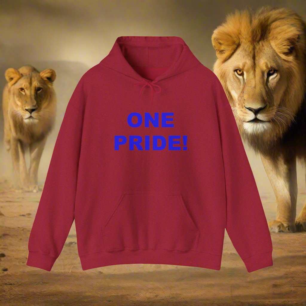One Pride Detroit Hoodie – Michigan Football Fan Sweatshirt Gift - WJMAPPAREL.COM