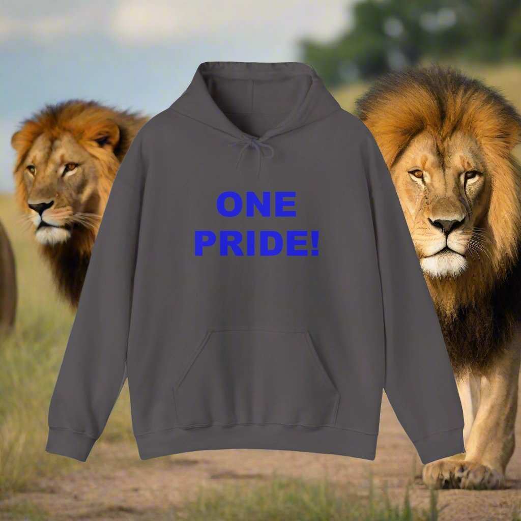 One Pride Detroit Hoodie – Michigan Football Fan Sweatshirt Gift - WJMAPPAREL.COM