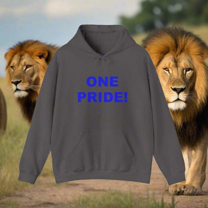 One Pride Detroit Hoodie – Michigan Football Fan Sweatshirt Gift - WJMAPPAREL.COM