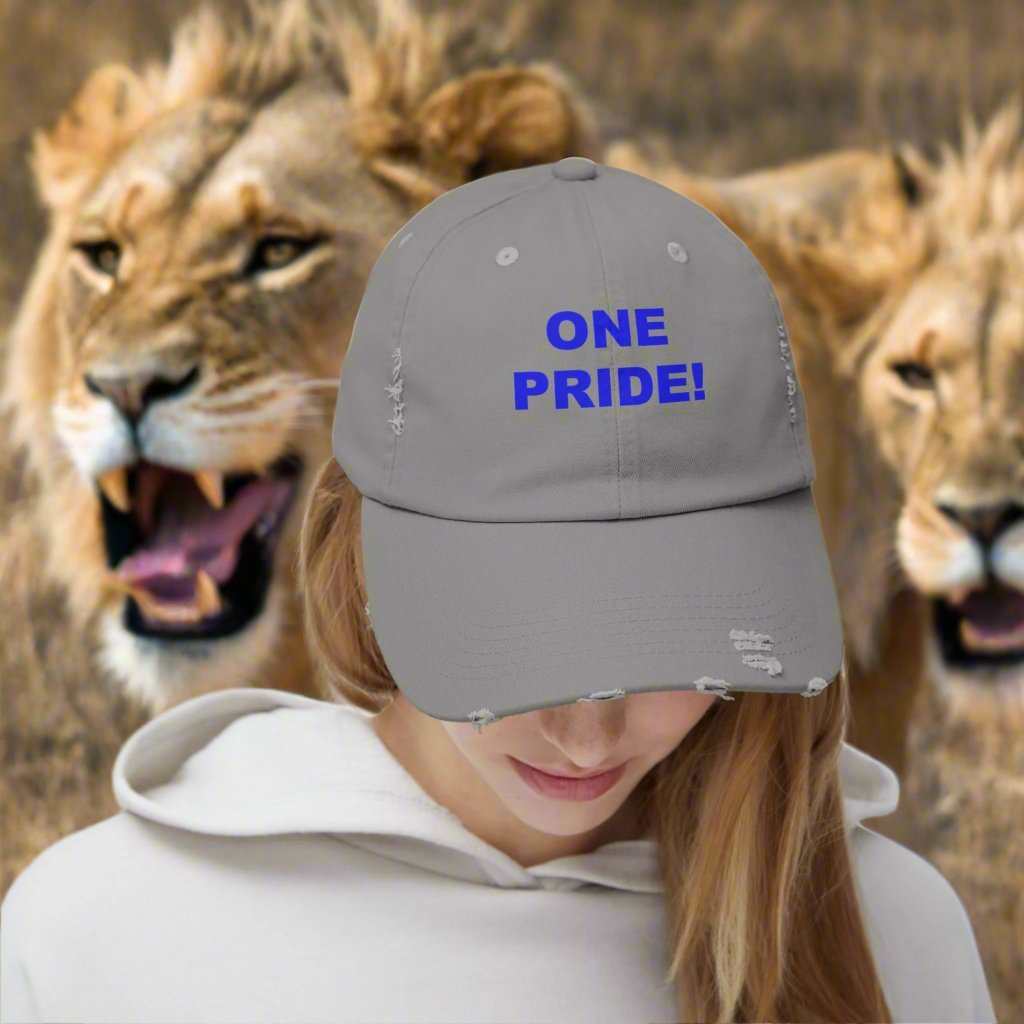One Pride Detroit Dad Hat – Michigan Football Fan Cap Gift - WJMAPPAREL.COM