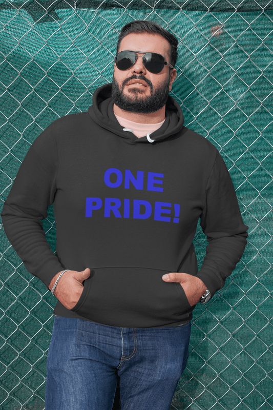 One Pride Detroit Hoodie – Michigan Football Fan Sweatshirt Gift - WJMAPPAREL.COM